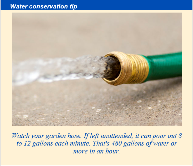 garden hose
