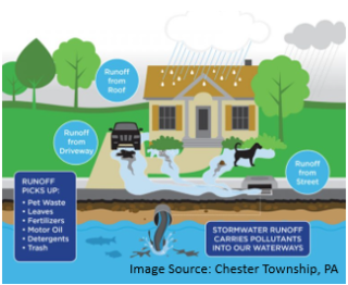 Stormwater Prevention Image
