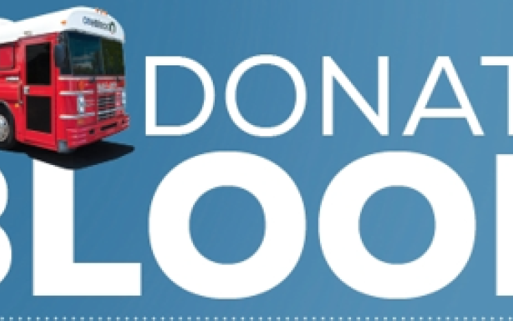 Big Red Bus