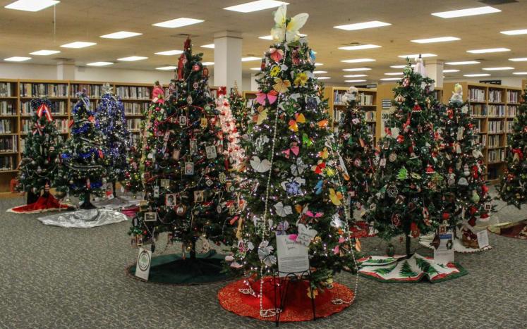 Decorated Holiday Trees