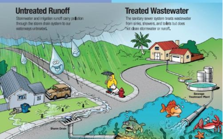 stormwater polution graphic